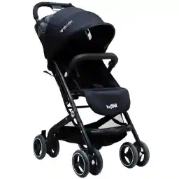 کالسکه مسافرتی دلیجان مدل مینی