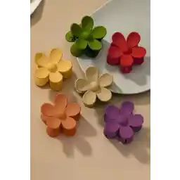 ست 6 تیکه قلاب دیزی رنگارنگ زنانه MASSANO