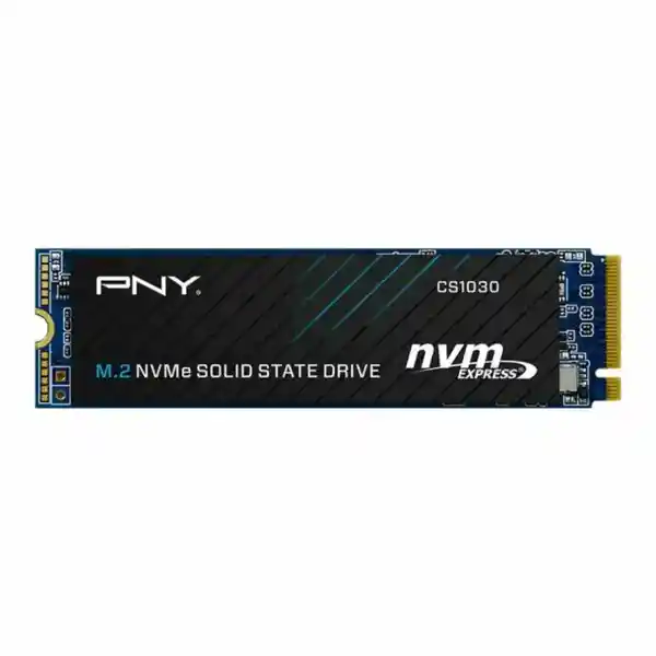 اس اس دی پی ان وای CS1030 M.2 NVMe 250GB