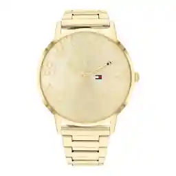 Tommy Hilfiger Alex 1782366 Horloge - Staal - Goudkleurig - Ø 40 mm
