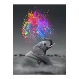 Wombhobby Coloring Fil Painting by Numbers Set 40x50 Cm (بند روی بوم)