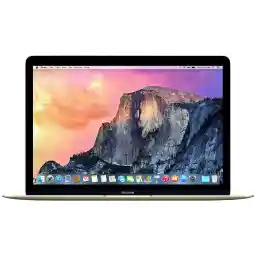 لپ تاپ 12 اینچی اپل مدل MacBook MK4N2 با صفحه نمایش رتینا