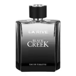 ادوتویلت بلک کریک مردانه 100 میل لاریو