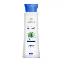 شامپو تقویتی و ضد ریزش مو سینره