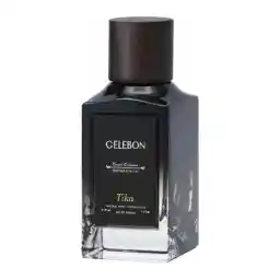 ادوپرفیوم مردانه تیکا 100 میل سلبون