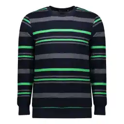 پلیور مردانه باینت مدل 2261672-5940