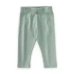 Cigit Fitilli Tayt 0-5 Yaş Mint Yeşili