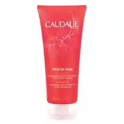 ژل دوش (رایحه انجیر) کدلی