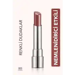 رژ لب براق مرطوب کننده فلورمار (صورتی) - Sheer Up Lipstick New - 003 Pinky Nude - 8682536012010