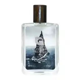 ادو پرفیوم راک مردانه 100 میل گرنویل
