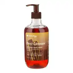 مایع دستشویی با رایحه دارچین هندولوژی