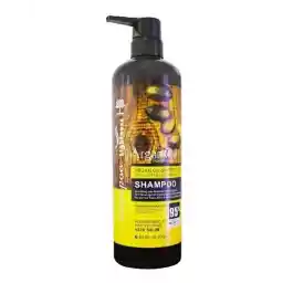 شامپو مو لایتنس Lightness حاوی روغن آرگان و پروتئین 900ml شامپو مو لایتنس Lightness حاوی روغن آرگان و پروتئین 900ml