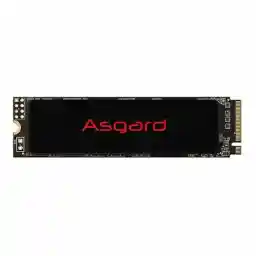 اس اس دی آسگارد AN2 M.2 2280 250GB Asgard AN2 M.2 2280 PCIe Gen 3.0x4 NVMe 250GB Internal SSD