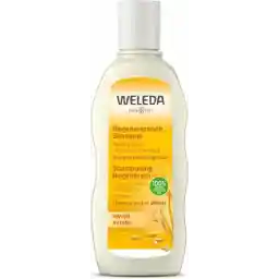 شامپو ترمیم کننده جو ولدا