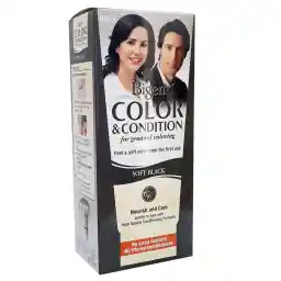 کیت رنگ مو بیگن سری Soft Black حجم 180 میل - رنگ دودی