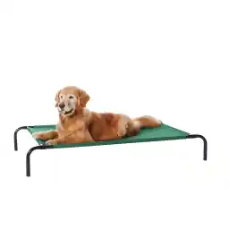 Amazon Basics Cooling Elevated Pet Bed, Large (130 x 80 x 19.5 centimeters), Green