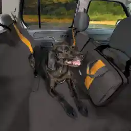 پوشش حماک Kurgo Wander، محافظ صندلی ماشین سگ، مواد مقاوم در برابر خش، ضد آب، مشکی، عرض 55 اینچ