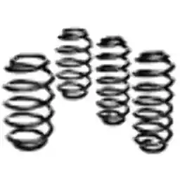 Eibach Pro-Kit Performance Spring Set of 4 Spring E10-27-004-01-22 Compatible with 2015-2016 Dodge Charger SRT Hellcat