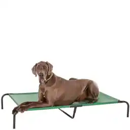Amazon Basics Cooling Elevated Pet Bed, Extra-Large (152.6 x 93.9 x 22.6 centimeters), Green