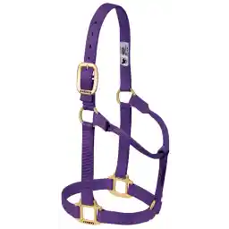 Weaver Leather Original Non-Adjustable Halter