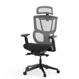 FLEXISPOT Classic Ergonomic Office Chair with High Back Swivel Computer Chair Executive Office Desk Chairs, with Lumbar Support/2D Headrest/Lockable Tilt Function, Foam Seat Cushion, Gray