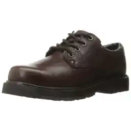 Dr. Scholl's Shoes Harrington Ii mens Work Shoe