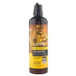 شامپو آرگان حجم 900 میل | لایتنس