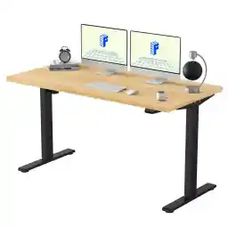FLEXISPOT 55 x 28 Inches Electric Stand Up Desk Workstation, Whole-Piece Desk Board Home Office Computer Standing Table Height Adjustable Desk (EC1 Classic Black Frame + 55" Black Top)