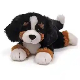 GUND Randle Bernese Mountain Dog، مخمل خواب دار حیوانات پریمیوم برای سنین 1 به بالا، مشکی/قهوه ای، 13 اینچی