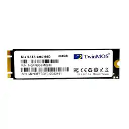 اس اس دی اینترنال تویین موس مدل M.2 2280 SATAIII ظرفیت 256 گیگابایت