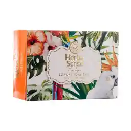 صابون نارنجی Penelope با رایحه گریپ فروت هرباسنس | آردن