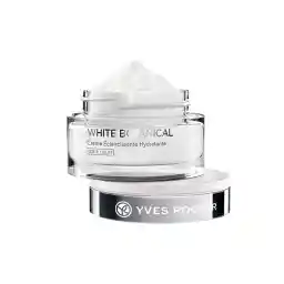 کرم شب و روز وایت بوتانیکال | ایوروشه