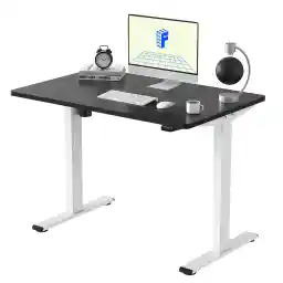 FLEXISPOT E1 Electric Standing Desk Whole Piece 48 x 24 Inch Desktop Adjustable Height Desk Home Office Computer Workstation Sit Stand up Desk (White Frame + 48" Black Top, 2 Packages)