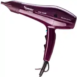 سشوار حرفه ای پرنسلی مدل PR250AT