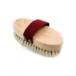 برس طبیعی موی اسب Tam12 برس حمام لایه بردار سلولیت برس طبیعی بدن