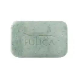 پن اسکراب و لایه بردار وزن 100 گرم | فولیکا