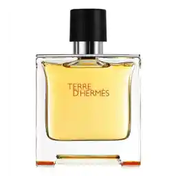 ادو پرفیوم مردانه مدل Terre D Hermes حجم 75 میل | هرمس