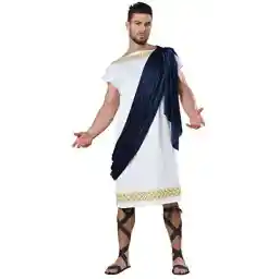 California Costumes mens Grecian Toga Adult-Sized Costume (pack of 1)