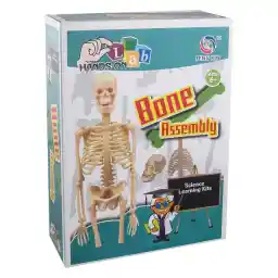 کیت آموزشی تنگ ژین مدل ساخت اسکلت انسان