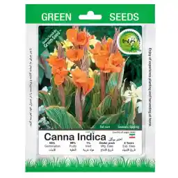 بذر اختر پرگل گیلدا کد 904