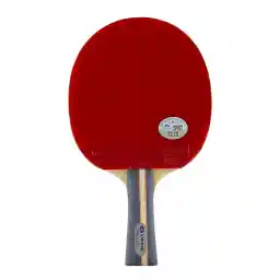 راکت پینگ پنگ یینهه جلد دار 05 | دسته FL