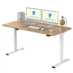 FLEXISPOT E1 Electric White Standing Desk Whole Piece 55 x 28 Inch Desktop Adjustable Height Desk Home Office Computer Workstation Stand up Desk (White Frame + 55" White Top)