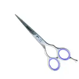 قیچی آرایشگری دلگان مدل DS-2541