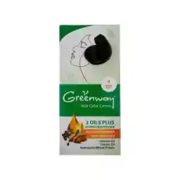 کیت رنگ مو گرین وی شماره 1