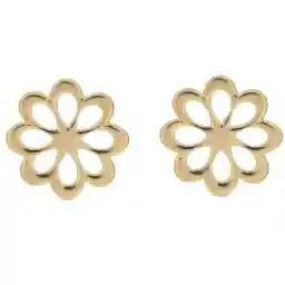 گوشواره طلا 18 عیار رزا مدل EG131