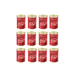 رب گوجه فرنگی روژین مقدار 400 گرم بسته 12 عددی