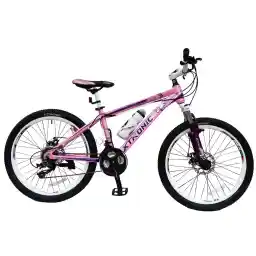 دوچرخه شهری ایکس ترونیک مدلProrace سایز 24