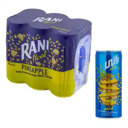 نوشیدنی آناناس حاوی تکه های واقعی میوه رانی - 240 میلی لیتر بسته 6 عددی