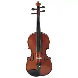 ویولن آکوستیک اشترونال مدل 2050