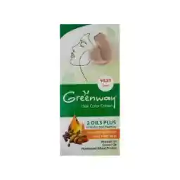 کیت رنگ مو گرین وی شماره 10.21